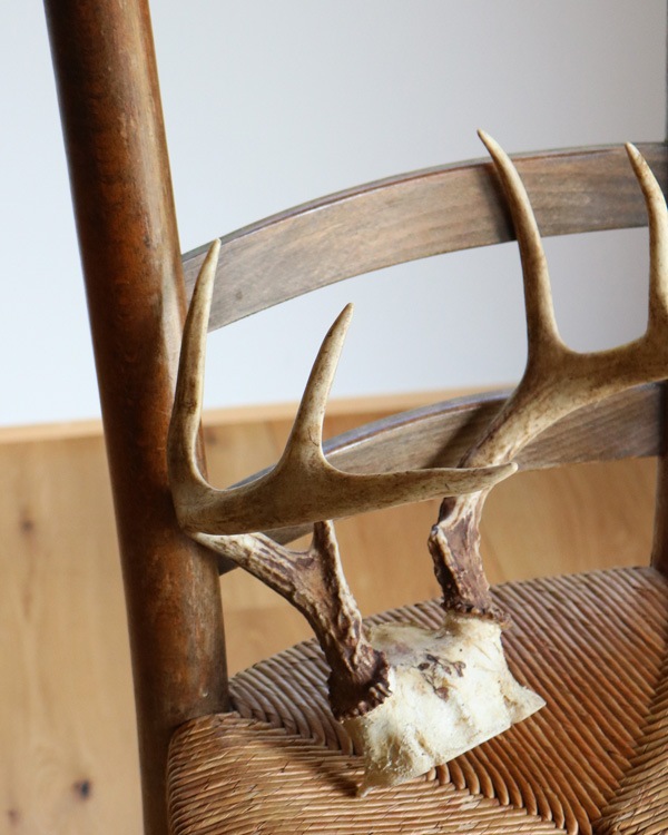 Deer Antler A�ü��γ� A