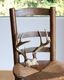 Deer Antler A�ü��γ� A