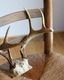 Deer Antler A�ü��γ� A