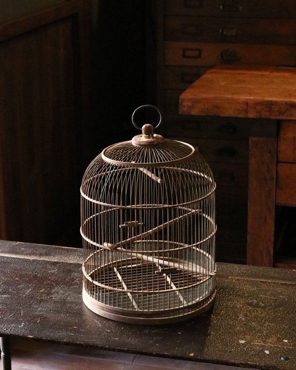 Bird Cage｜鳥かご