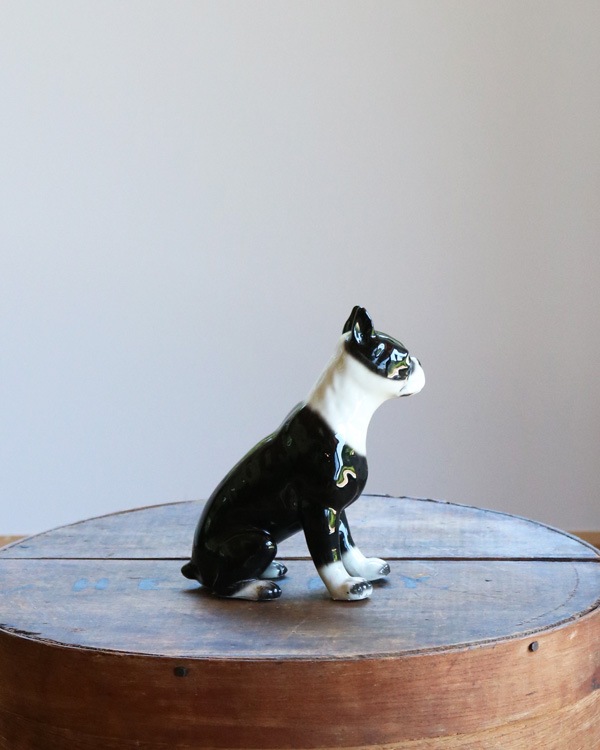 Ceramic Boston Terrier�å���ߥå����Υܥ��ȥ�ƥꥢ