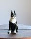 Ceramic Boston Terrier�å���ߥå����Υܥ��ȥ�ƥꥢ