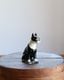 Ceramic Boston Terrier�å���ߥå����Υܥ��ȥ�ƥꥢ