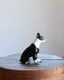 Ceramic Boston Terrier�å���ߥå����Υܥ��ȥ�ƥꥢ