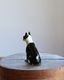Ceramic Boston Terrier�å���ߥå����Υܥ��ȥ�ƥꥢ