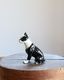 Ceramic Boston Terrier�å���ߥå����Υܥ��ȥ�ƥꥢ
