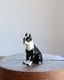 Ceramic Boston Terrier�å���ߥå����Υܥ��ȥ�ƥꥢ