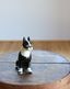 Ceramic Boston Terrier�å���ߥå����Υܥ��ȥ�ƥꥢ