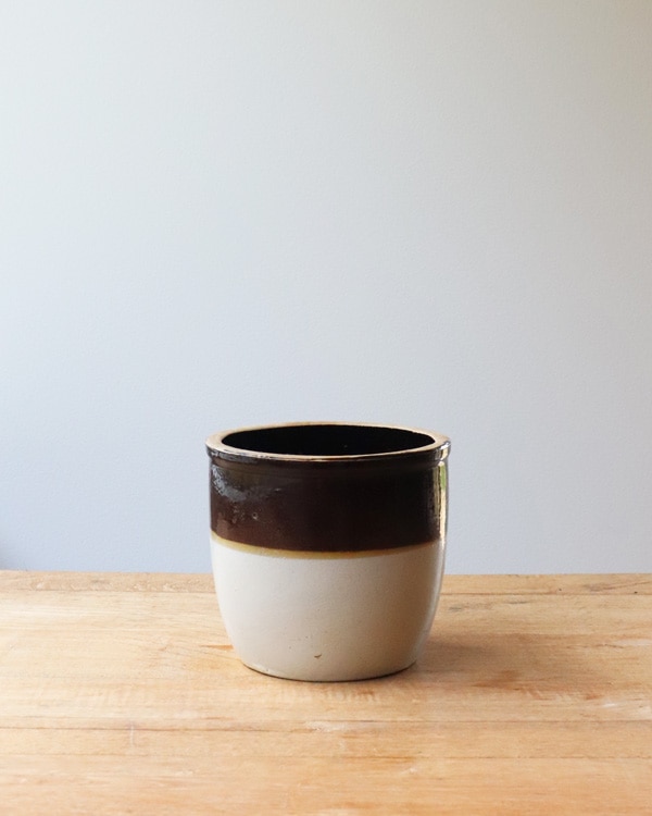 Old Crock White&Brown OC-034��ƫ�參�ȥ�꡼Ω�� White&Brown OC-034