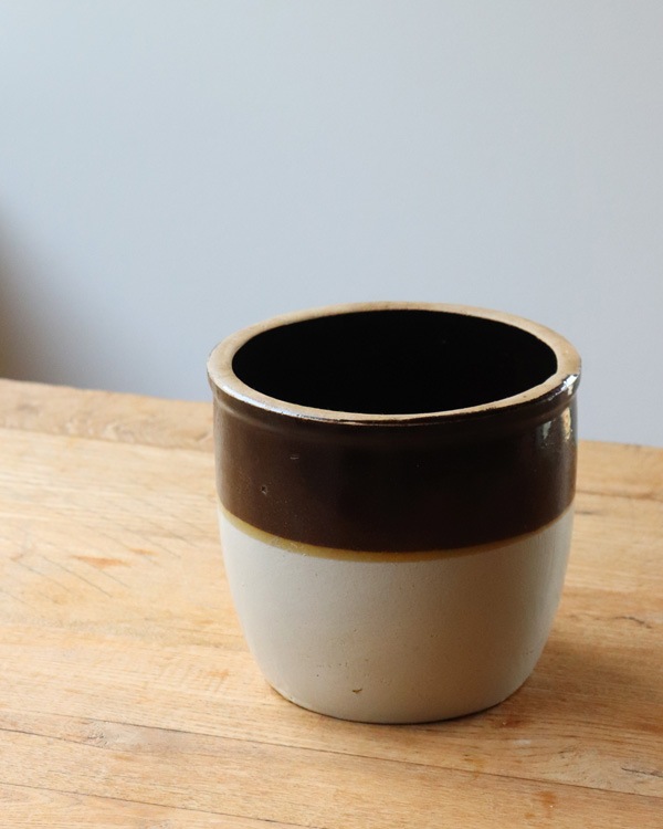 Old Crock White&Brown OC-034��ƫ�參�ȥ�꡼Ω�� White&Brown OC-034