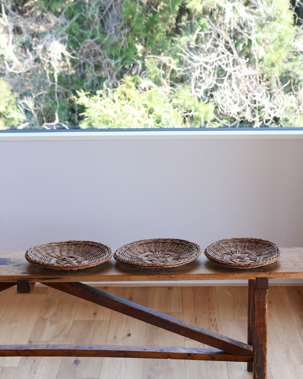 Akebia Tray M�ä����ӥȥ쥤 M