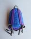 Vintage 90s Blue/Purple L.L.BEAN Rucksack