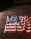 50star US Flag B��50star US �ե�å� B