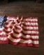 50star US Flag B��50star US �ե�å� B