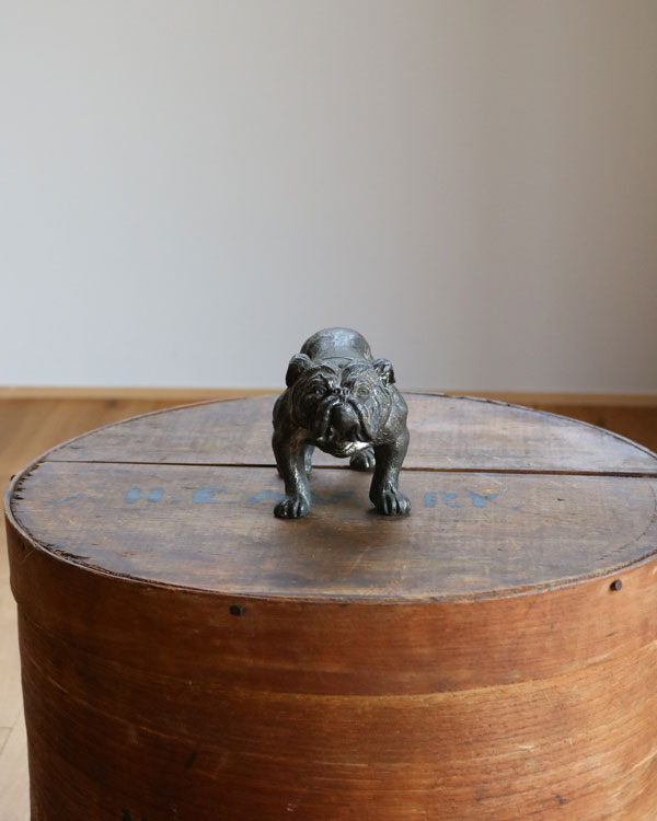 Bulldog Ornament B�å֥�ɥå������ʥ��� B