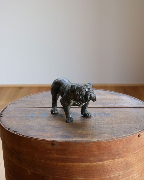 Bulldog Ornament B�å֥�ɥå������ʥ��� B