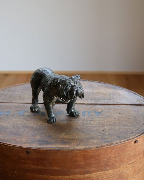 Bulldog Ornament B�å֥�ɥå������ʥ��� B