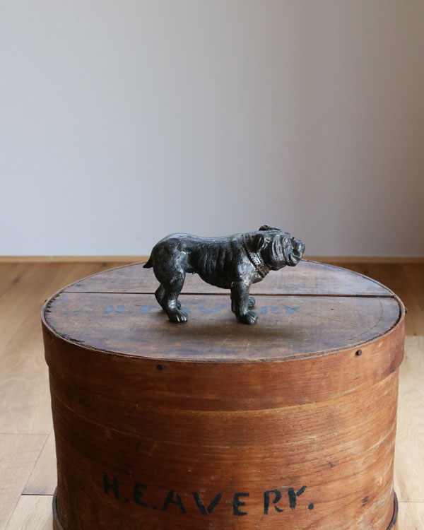 Bulldog Ornament B�å֥�ɥå������ʥ��� B