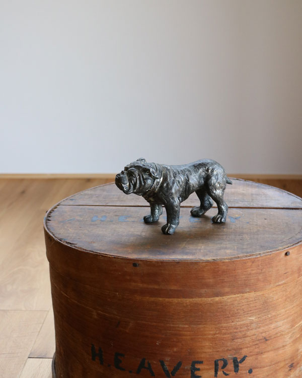 Bulldog Ornament B�å֥�ɥå������ʥ��� B