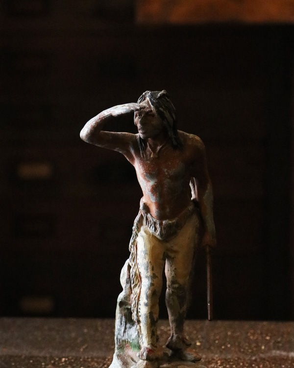 Indian Ornement�å���ǥ��������ʪ