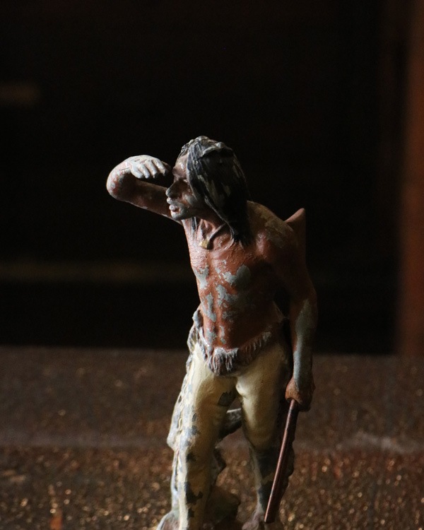 Indian Ornement�å���ǥ��������ʪ