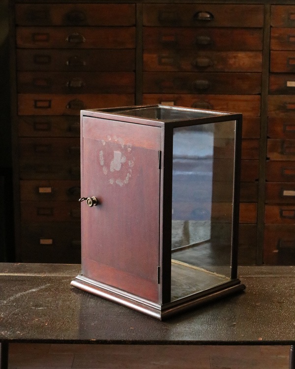 Small Glass Showcase｜ガラスのショーケース