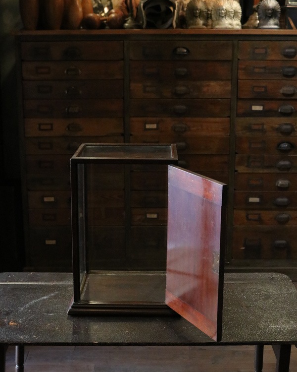 Small Glass Showcase｜ガラスのショーケース
