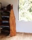 Solid Ironing Board B�å���å� ���������� B
