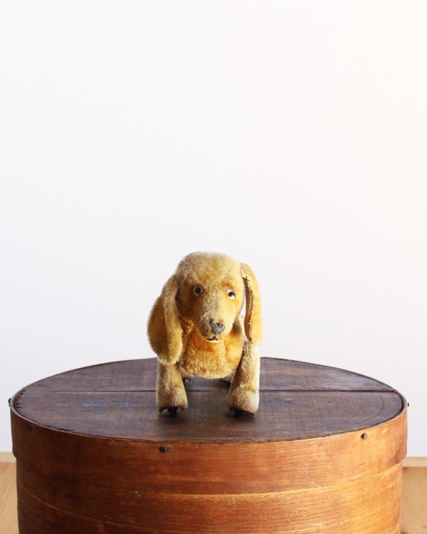 Dachshund Stuffed Toy｜ダックスフンド ぬいぐるみ