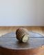 Native American Pine Needle Basket åͥƥ֥ꥫ դΥХå