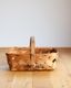 "SPAULDING" Bakery Display Basket��"SPAULDING"�١����꡼�ǥ����ץ쥤�Х����å�