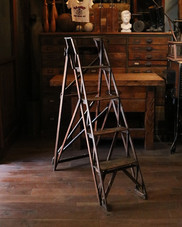 Library Ladder�å饤�֥�꡼�����