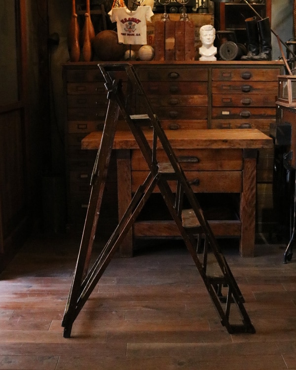 Library Ladder�å饤�֥�꡼�����