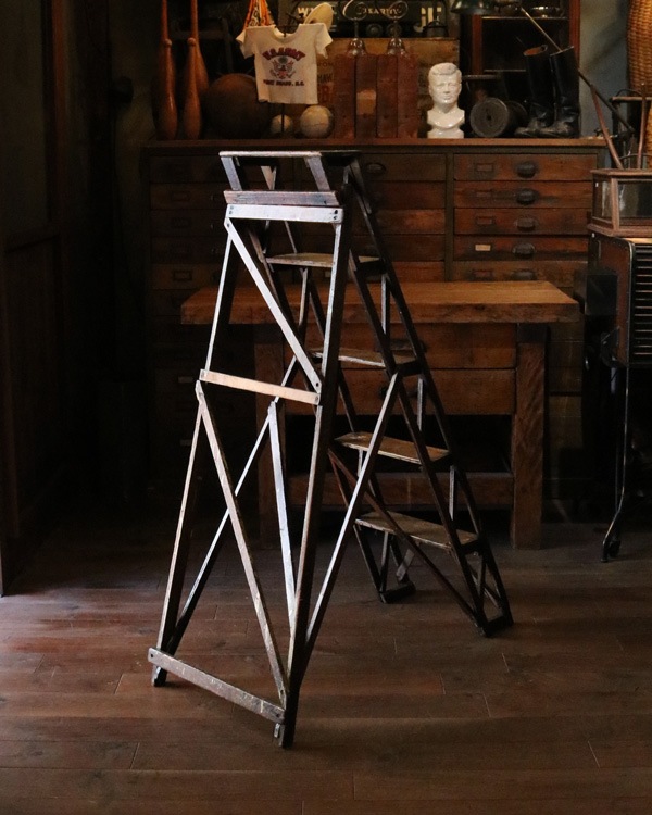 Library Ladder�å饤�֥�꡼�����