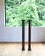 Pair of Column