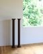 Pair of Column