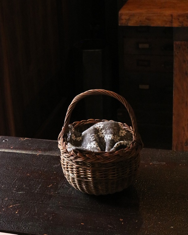 Rattan One Handle Basket | �饿����ϥ�ɥ�Х����å�