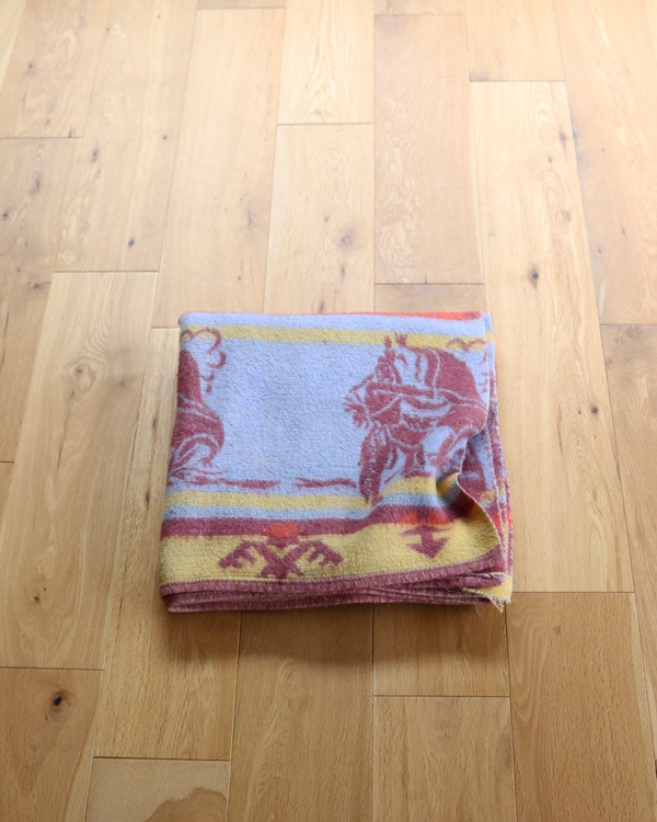 Camp Blanket A�å����ץ֥�󥱥å� A