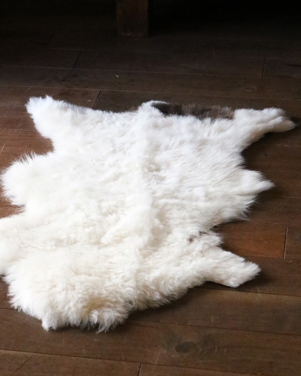 Mouton Sheep E｜羊 ムートン E