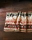 Camp Blanket / G�å����ץ֥�󥱥å� G