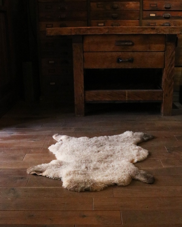 Mouton Sheep F｜羊 ムートン F