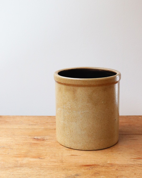 Old Crock OC-001��ƫ�參�ȥ�꡼Ω�� OC-001