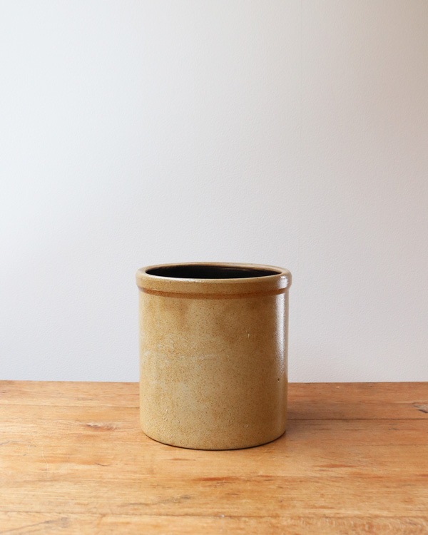 Old Crock OC-001��ƫ�參�ȥ�꡼Ω�� OC-001