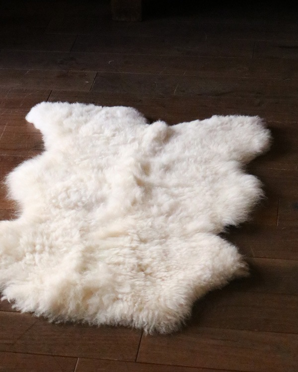 Mouton Sheep H｜羊 ムートン H