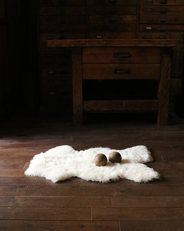 Mouton Sheep H｜羊 ムートン H