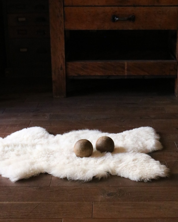 2013 Navajo Churro Sheep of Dot Ranch