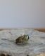 U.S.ARMY Military Police Memorial Ring B��U.S.ARMY �ߥ꥿�꡼�ݥꥹ ���ꥢ���� B