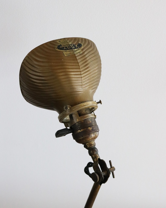 "FARIES" Desk Lamp w/X-RAY��X-ARY��ե쥯�����դ�FARIES�ҥǥ������� B