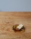 "Best Western" Ashtray E"Best Western" 饹 E