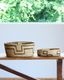 Native American "Papago" Coiled Basket Largeåͥƥ֥ꥫ ѥѥ²ΥХå Large